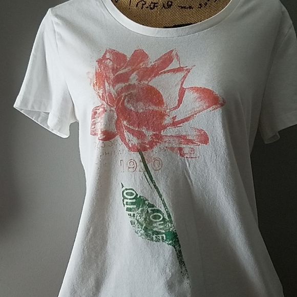 Shorts+T - Picture 7 of 8